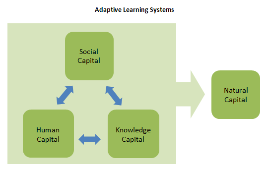 Diagram of the interactions between social capital, human capital, knowledge capital, and natural capital