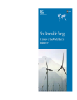 renewable-energy-review-world-bank-assistance-2006